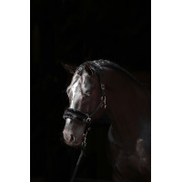 Cabresto Classic Soft Covalliero Azul-marinho