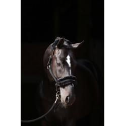 Cabresto Classic Soft Covalliero Preto Cabresto Classic Soft Covalliero Preto