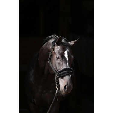Cabresto Classic Soft Covalliero Preto Cabresto Classic Soft Covalliero Preto