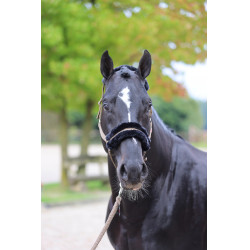 Cabresto Classic Soft Covalliero Cabresto Classic Soft Covalliero