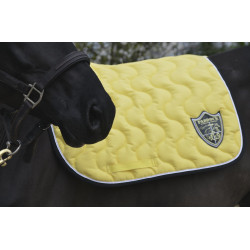Tapete Paddock Sports Origine