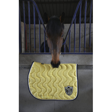 Tapete Paddock Sports Origine Tapete Paddock Sports Origine