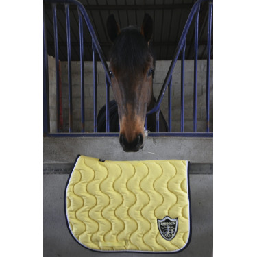 Tapete Paddock Sports Origine Tapete Paddock Sports Origine
