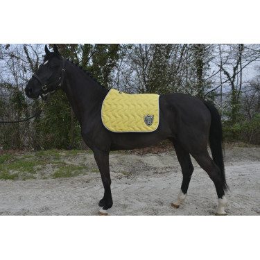 Tapete Paddock Sports Origine Tapete Paddock Sports Origine