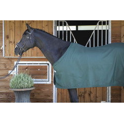 Camisa Paddock Sports Apresentação Verde Camisa Paddock Sports Apresentação Verde