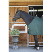 Camisa Paddock Sports Apresentação Verde Camisa Paddock Sports Apresentação Verde