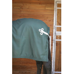 Camisa Paddock Sports Apresentação Verde Camisa Paddock Sports Apresentação Verde