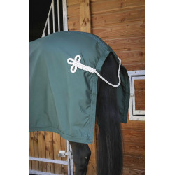 Camisa Paddock Sports Apresentação Verde Camisa Paddock Sports Apresentação Verde