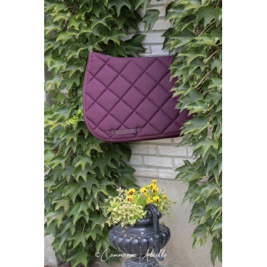 Tapete Paddock Sports Prems Ameixa Violeta