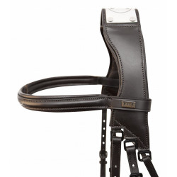 Bridão com ponte Raphaël T de T Preto