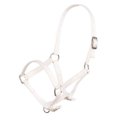 Cabezada de potro em nylon com testeira e focinheira ajustáveis Imperial Riding