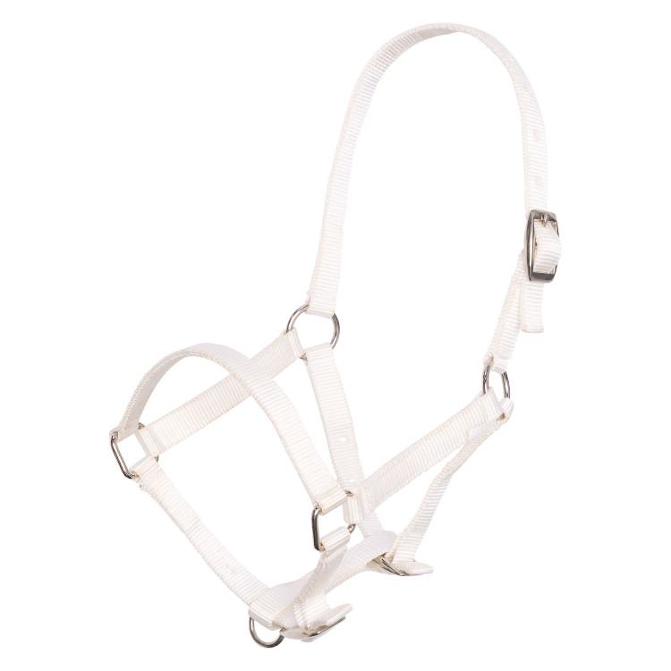 Cabezada de potro em nylon com testeira e focinheira ajustáveis Imperial Riding Cabezada de potro em nylon com testeira e focinheira ajustáveis Imperial Riding