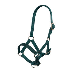 Cabezada de potro em nylon com testeira e focinheira ajustáveis Imperial Riding Verde floresta