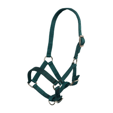 Cabezada de potro em nylon com testeira e focinheira ajustáveis Imperial Riding Verde floresta