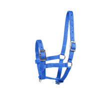Cabresto para Potro Horze Spirit Azul escuro Cabresto para Potro Horze Spirit Azul escuro