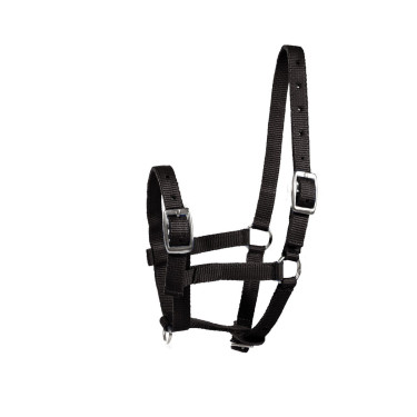 Cabresto para Potro Horze Spirit Cabresto para Potro Horze Spirit