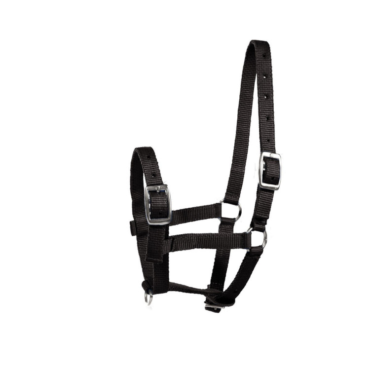 Cabresto para Potro Horze Spirit Cabresto para Potro Horze Spirit