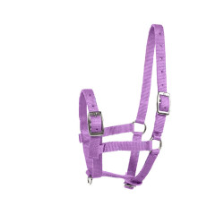 Cabresto para Potro Horze Spirit Cabresto para Potro Horze Spirit