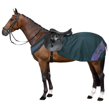 Cobre-rins HV Polo L+ leve