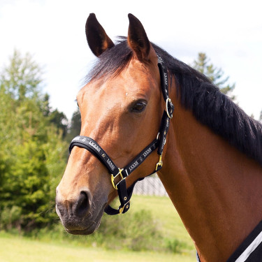 Caveção Hamptons Horze Preto Caveção Hamptons Horze Preto