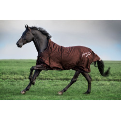 Cobertura de paddock Imperial Riding Super-dry 400gr Avelã Castanho