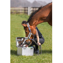 Caixa de escovagem Imperial Riding Shiny Caixa de escovagem Imperial Riding Shiny