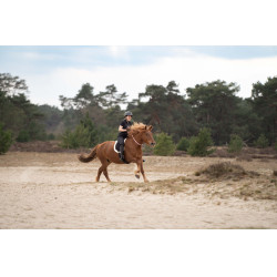 Cinto de pescoço Imperial Riding Free Ride Rosa chique