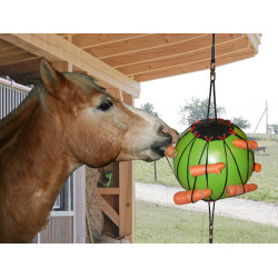 BOLA PARA BRINCAR BOLA PARA BRINCAR