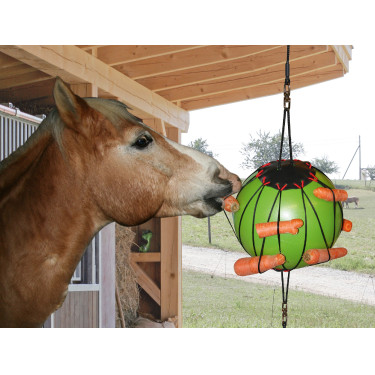BOLA PARA BRINCAR BOLA PARA BRINCAR