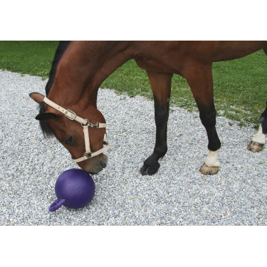BOLA SABOR MAÇÃ / HORTELÃ BOLA SABOR MAÇÃ / HORTELÃ