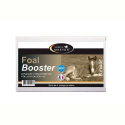 Foal Booster Horse Master por 4 Foal Booster Horse Master por 4