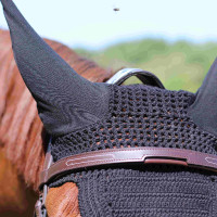 Bridão À Ponte Manet T de T Havana escuro Castanho