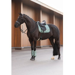Guétras de dressage Imperial Riding Lovely Verde Sálvia Azul