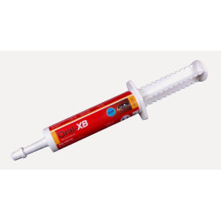 Oral XB Booster Horse Master Oral XB Booster Horse Master