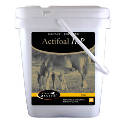 Actifoal HP Horse Master Actifoal HP Horse Master