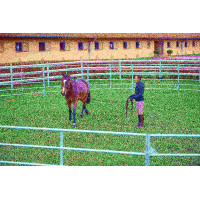 Painéis galvanizados em...