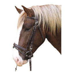 Bridão Cavalo de Tração Couro Bridão Cavalo de Tração Couro