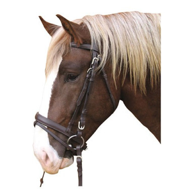 Bridão Cavalo de Tração Couro Bridão Cavalo de Tração Couro