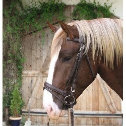 Bridão Cavalo de Tração Couro Bridão Cavalo de Tração Couro