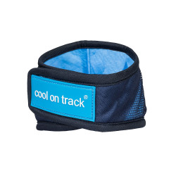 Bandana refrescante Cool on Track Back on Track Azul