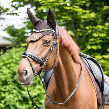 Luchtstroomkap Back on Track Castanho
