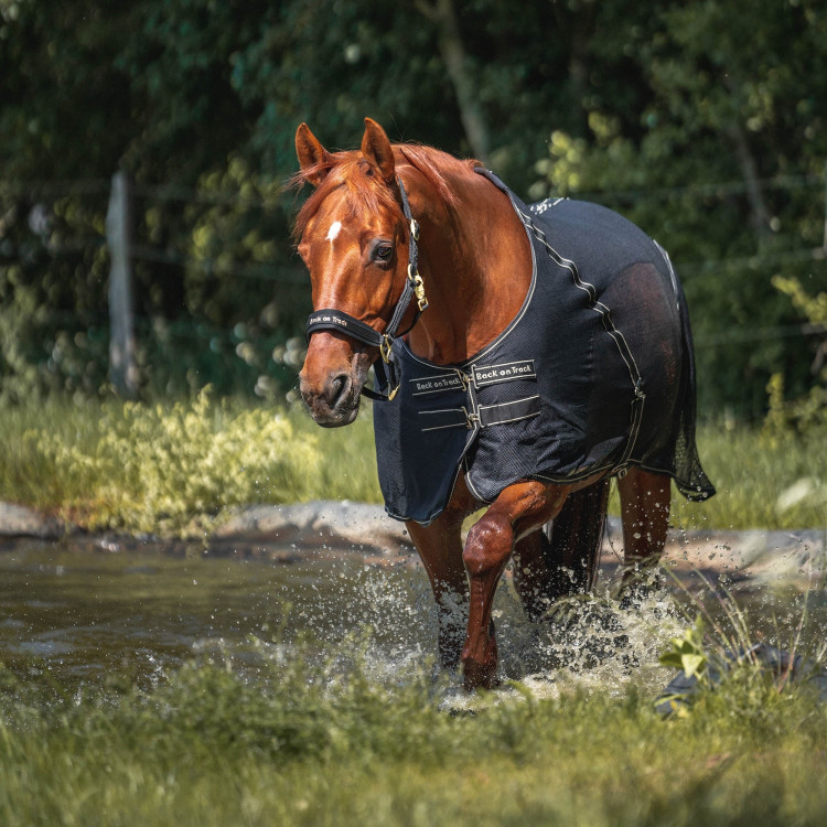 Camisa Sienna Back on Track Camisa Sienna Back on Track