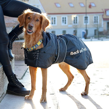 Casaco padrão Back on Track para cão Preto Casaco padrão Back on Track para cão Preto