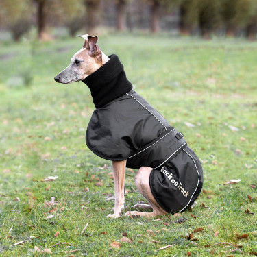 Casaco Whippet para cão Back on Track Preto Casaco Whippet para cão Back on Track Preto