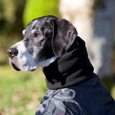 Casaco Whippet para cão Back on Track Preto Casaco Whippet para cão Back on Track Preto