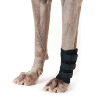 Proteção para patas dianteiras Back on Track para cão Preto Proteção para patas dianteiras Back on Track para cão Preto