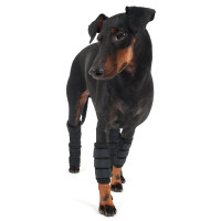 Proteção para patas dianteiras Back on Track para cão Preto Proteção para patas dianteiras Back on Track para cão Preto