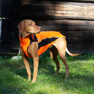 Camisola para cão Eddie Grande visibilidade Back on Track sem cabide Camisola para cão Eddie Grande visibilidade Back on Track sem cabide