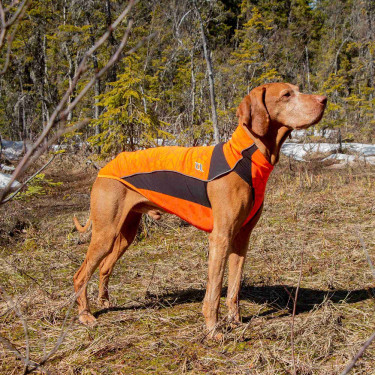 Camisola para cão Eddie Grande visibilidade Back on Track sem cabide Camisola para cão Eddie Grande visibilidade Back on Track sem cabide