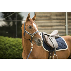 Zadeldek Lami-Cell Elegance Marinho / champanhe Azul